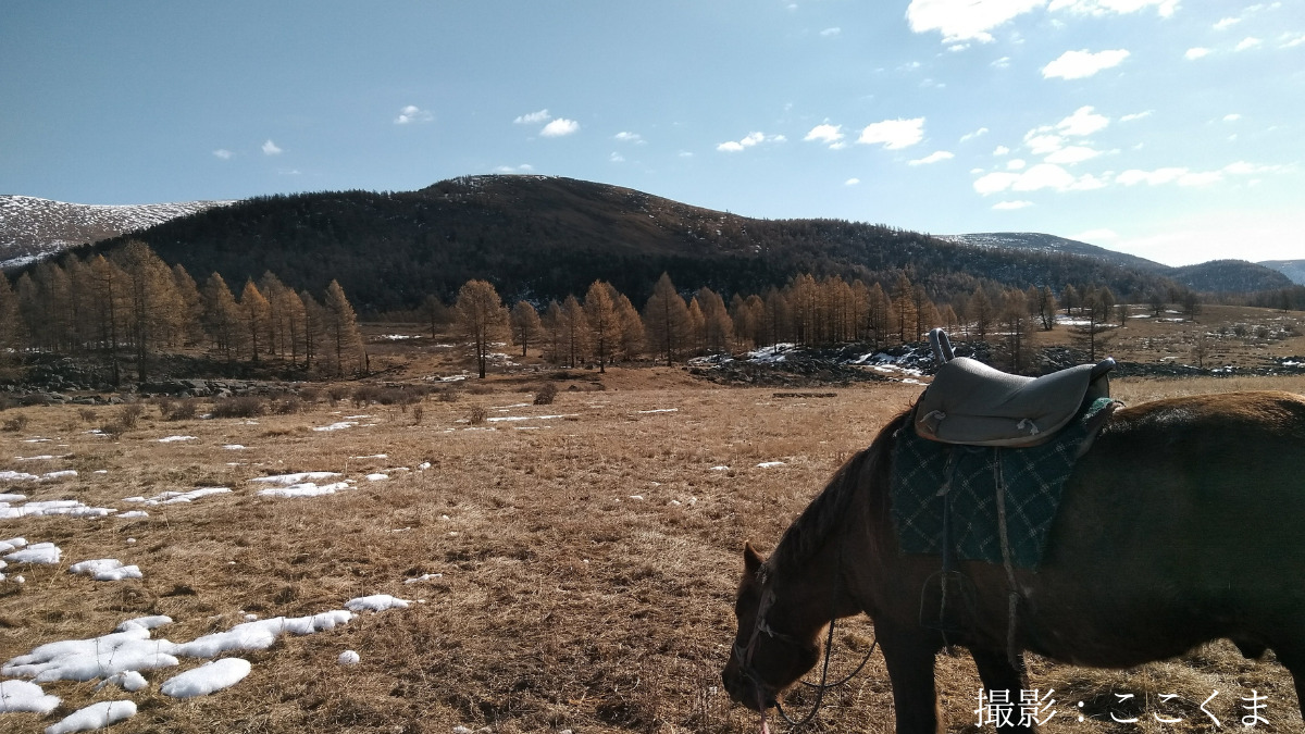 モンゴルの冬と馬