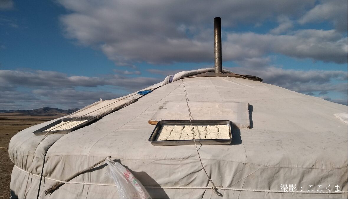 モンゴルの保存食アーロル。ゲルの屋根で乾燥中。